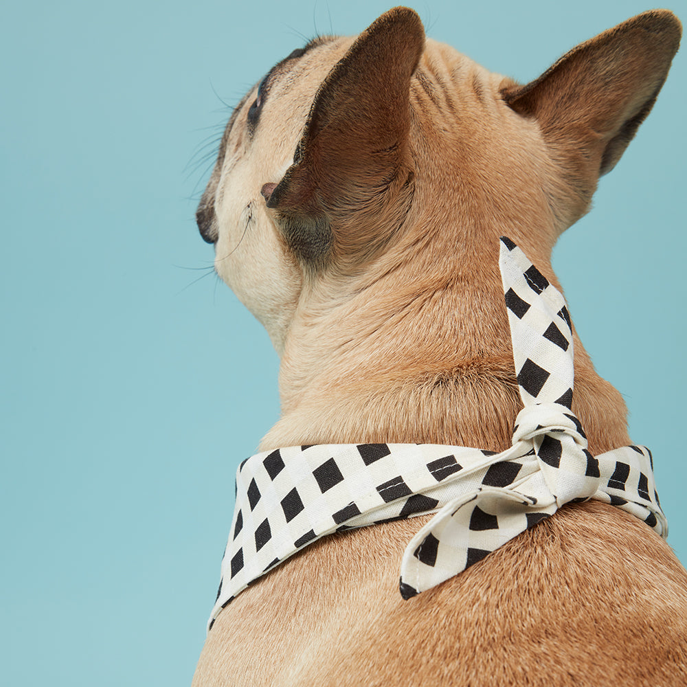 DOG BANDANA - CHECK BLACK & WHITE