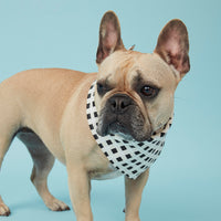 Thumbnail for DOG BANDANA - CHECK BLACK & WHITE