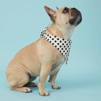 Thumbnail for DOG BANDANA - CHECK BLACK & WHITE