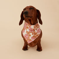 Thumbnail for DOG BANDANA - PINK FLORAL