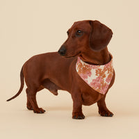 Thumbnail for DOG BANDANA - PINK FLORAL