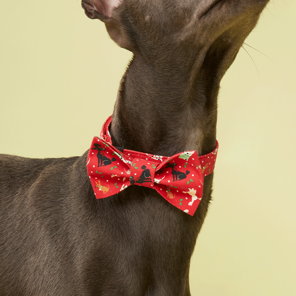 DOG BOW TIE - RED PRINT