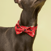Thumbnail for DOG BOW TIE - RED PRINT