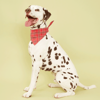 Thumbnail for DOG BANDANA - RED CHECK