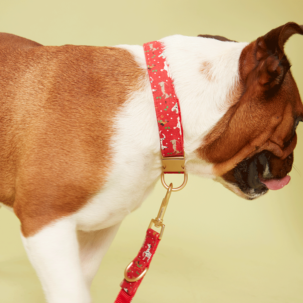 DOG COLLAR - RED PRINT