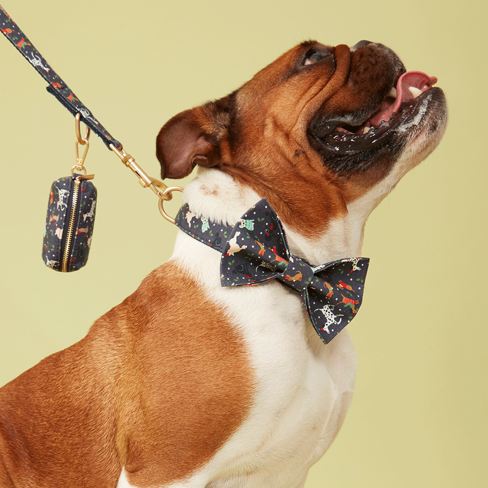 DOG BOW TIE - NAVY PRINT