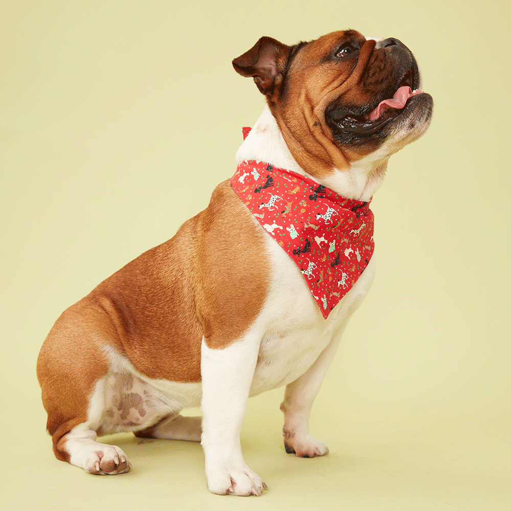 DOG BANDANA - RED PRINT
