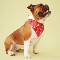 Thumbnail for DOG BANDANA - RED PRINT