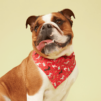 Thumbnail for DOG BANDANA - RED PRINT