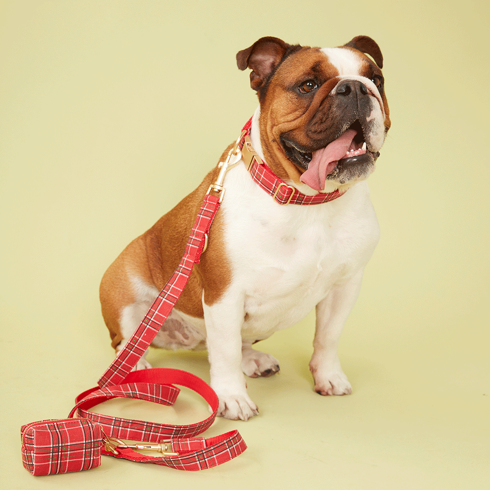 DOG LEASH - RED CHECK