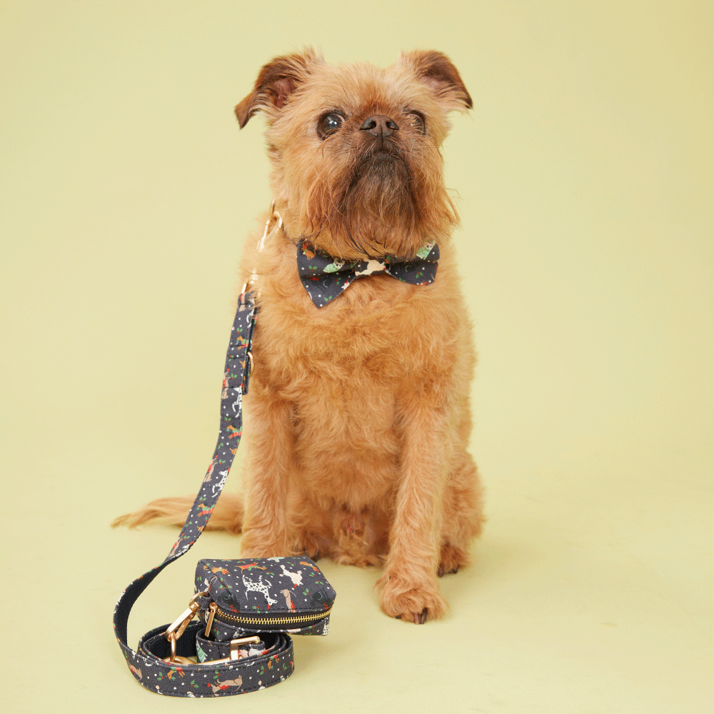 DOG LEASH - NAVY PRINT