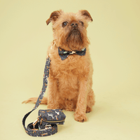 Thumbnail for DOG LEASH - NAVY PRINT