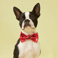 Thumbnail for DOG BOW TIE - RED PRINT