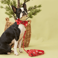 Thumbnail for DOG BOW TIE - RED PRINT