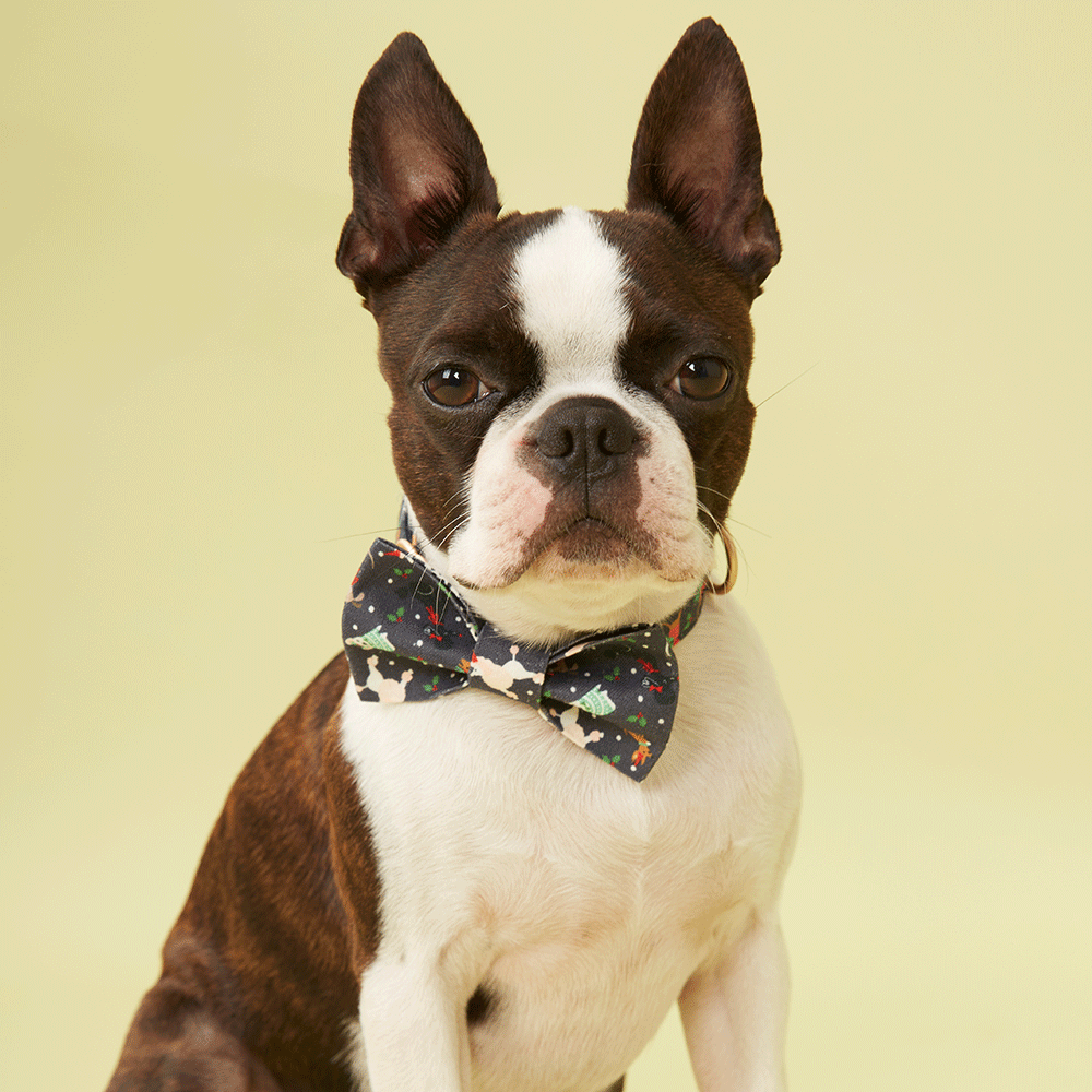 DOG BOW TIE - NAVY PRINT