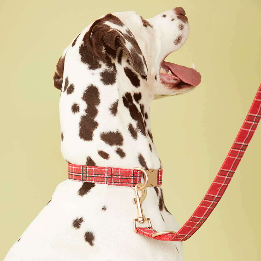 DOG LEASH - RED CHECK