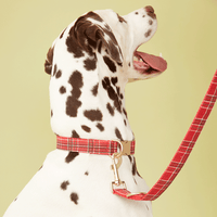 Thumbnail for DOG LEASH - RED CHECK