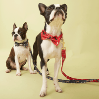 Thumbnail for DOG BOW TIE - NAVY PRINT