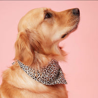 Thumbnail for DOG BANDANA - ANIMAL