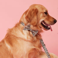 Thumbnail for DOG BOW TIE - ANIMAL