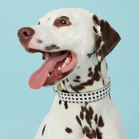 Thumbnail for DOG COLLAR - BLACK & WHTE CHECK