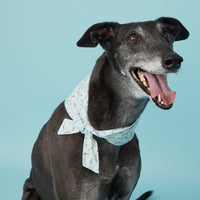 Thumbnail for DOG BANDANA - BLUE DOG