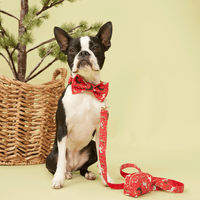 Thumbnail for DOG LEASH - RED PRINT
