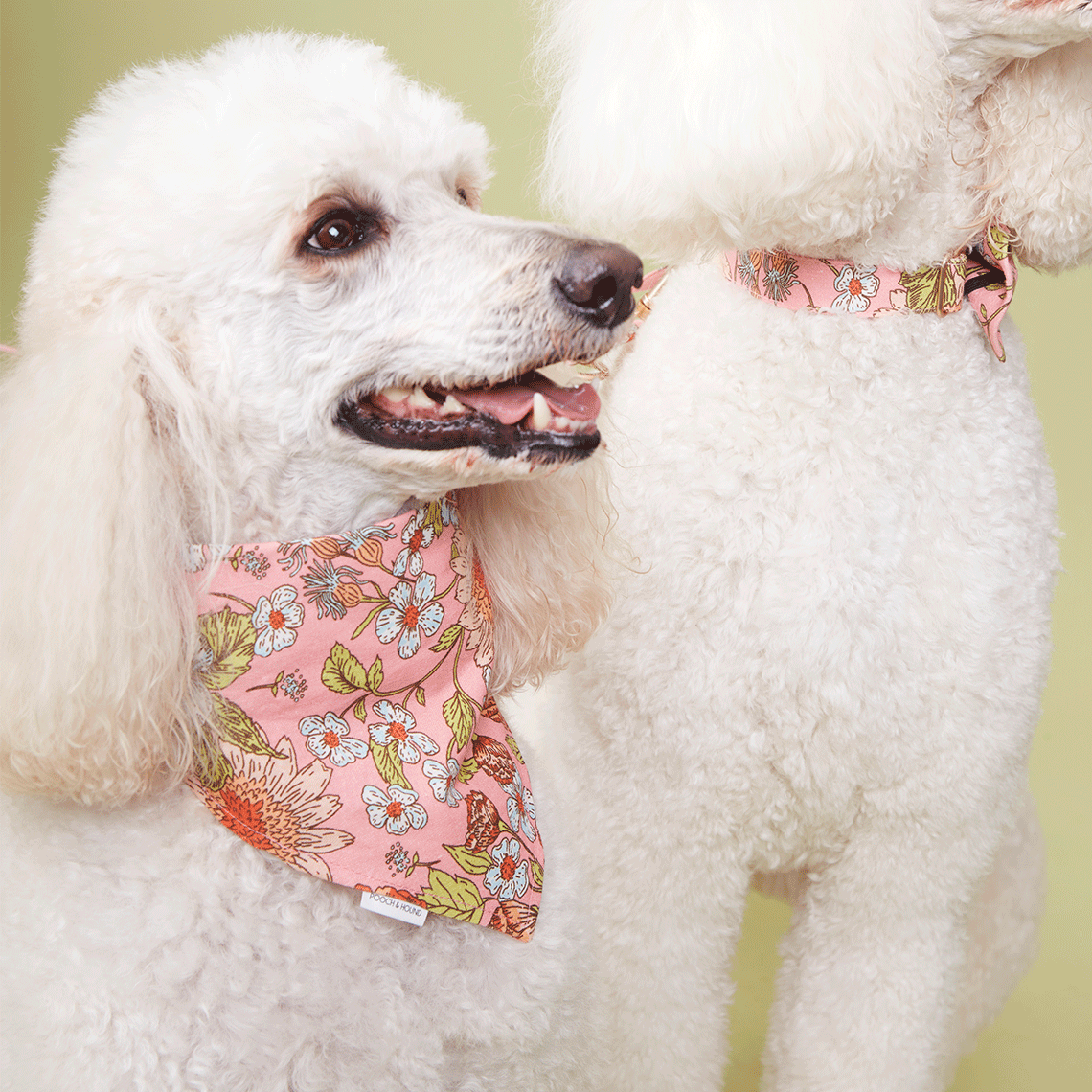 DOG BANDANA -  FLORAL PRINT PINK