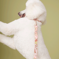 Thumbnail for DOG LEASH - FLORAL PINK PRINT