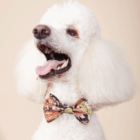 Thumbnail for DOG BOW TIE - FLORAL PRINT BLACK