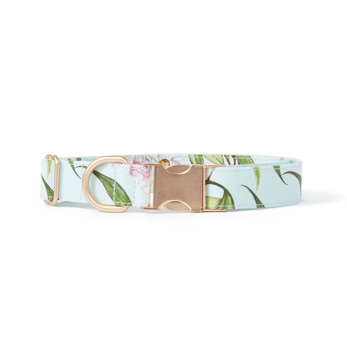 DOG COLLAR - AQUA FLORAL