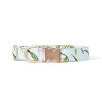 Thumbnail for DOG COLLAR - AQUA FLORAL