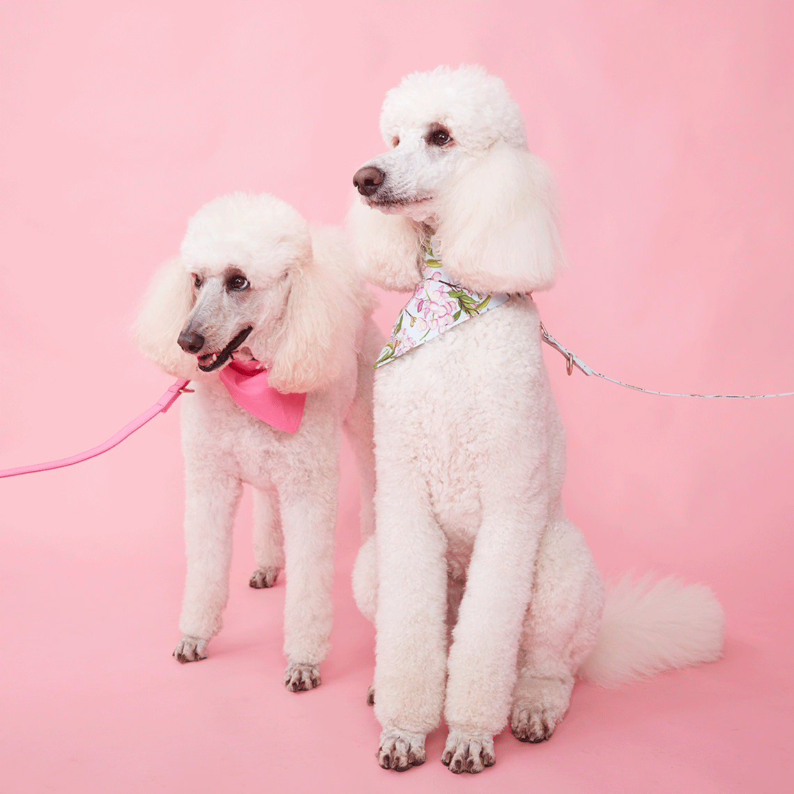 DOG BANDANA -  AZALEA PINK