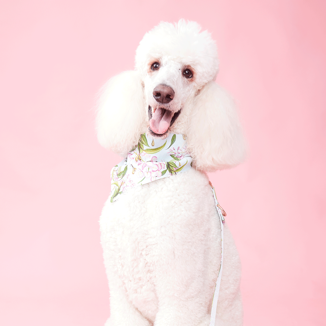 DOG BANDANA -  WATERCOLOUR FLORAL AQUA