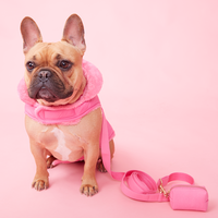 Thumbnail for DOG LEASH - AZALEA PINK