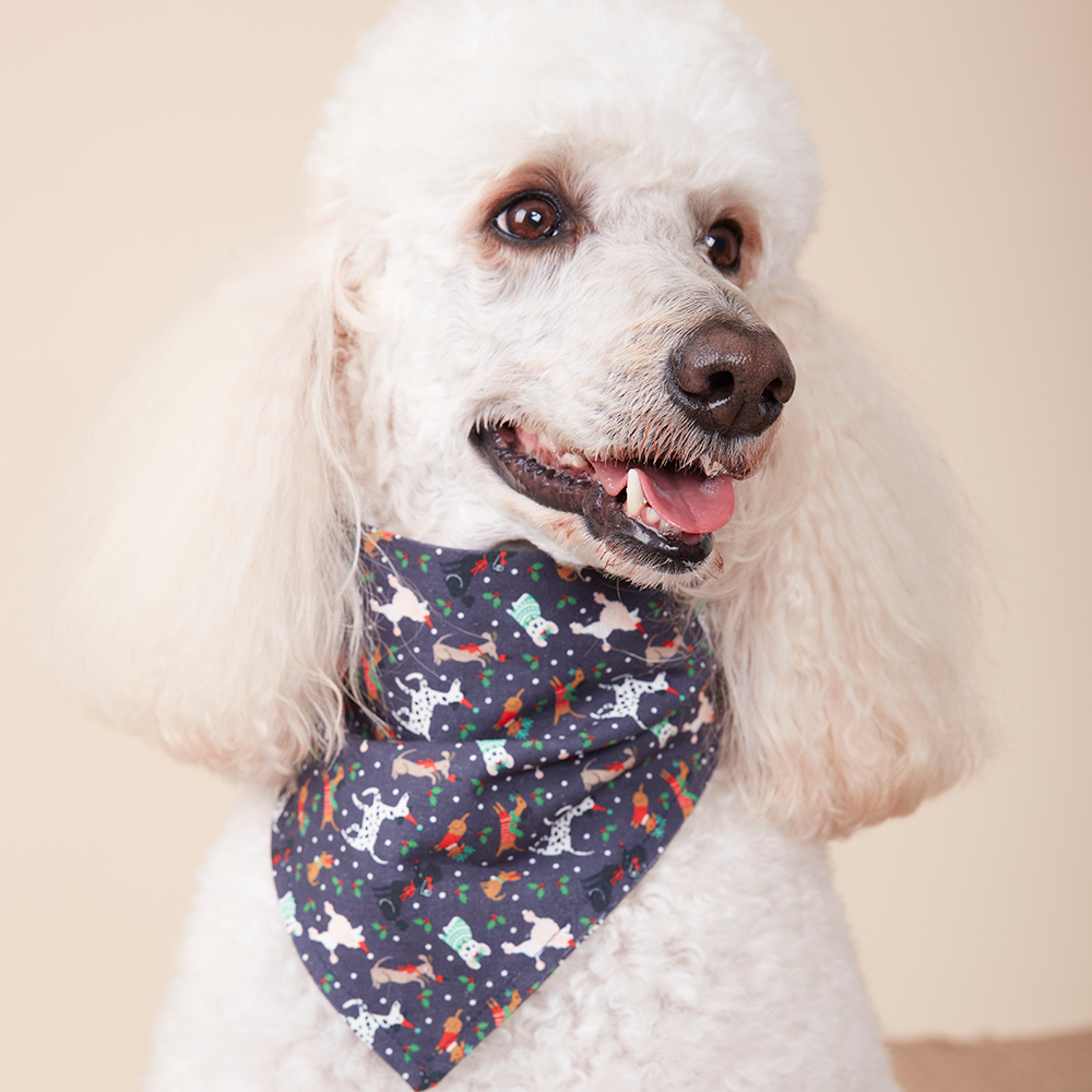 DOG BANDANA - NAVY PRINT