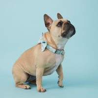 Thumbnail for DOG COLLAR - BLUE DOG