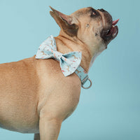 Thumbnail for DOG COLLAR - BLUE DOG