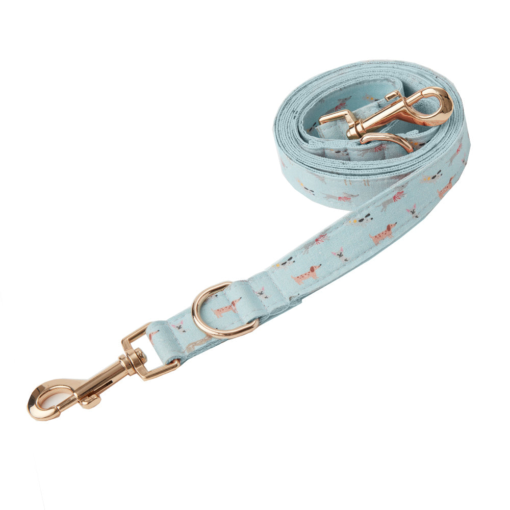 DOG LEASH - BLUE DOG