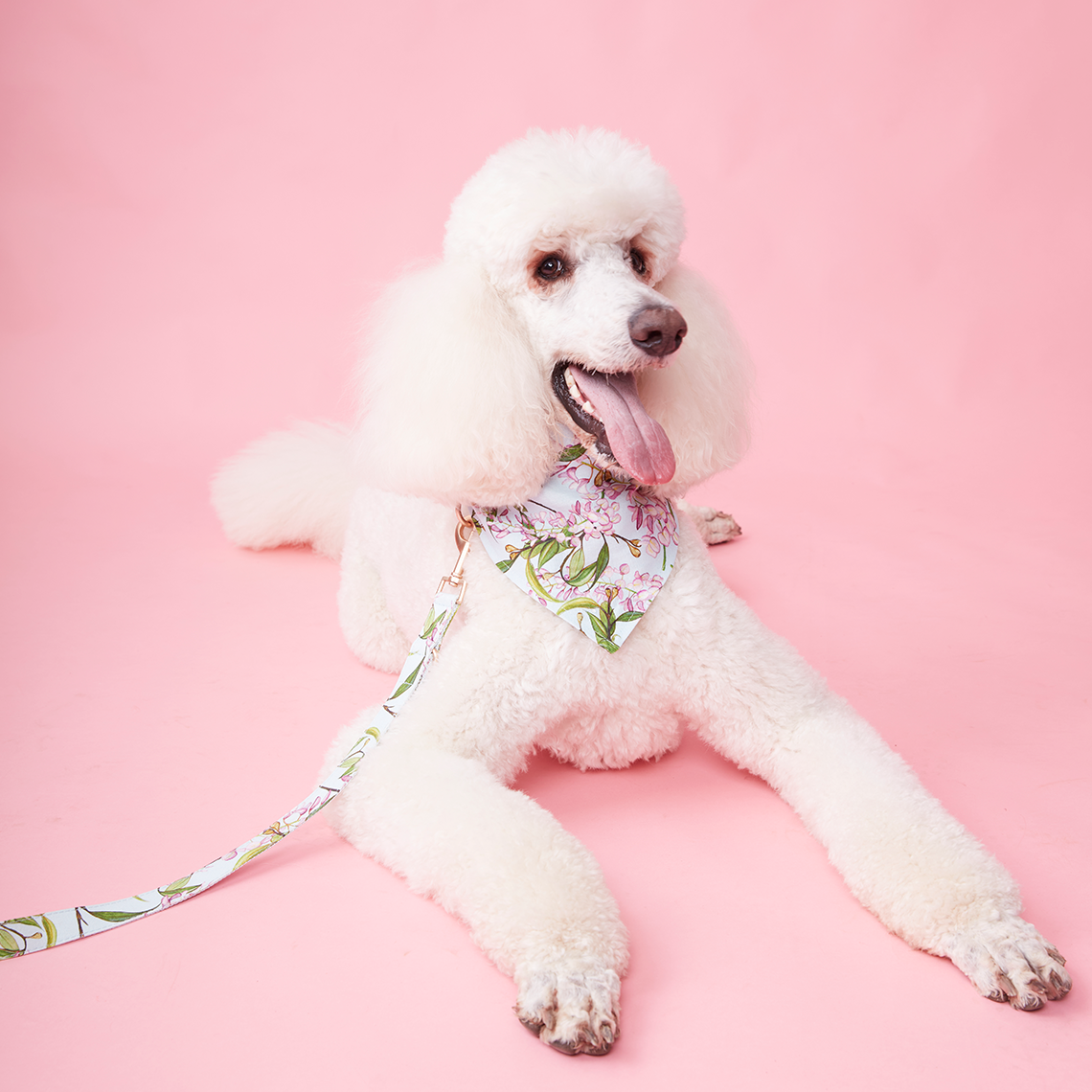 DOG LEASH - AQUA FLORAL
