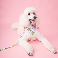 Thumbnail for DOG LEASH - AQUA FLORAL