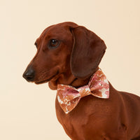 Thumbnail for DOG BOW TIE - PINK FLORAL