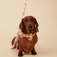 Thumbnail for DOG BOW TIE - PINK FLORAL
