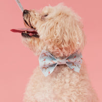 Thumbnail for DOG BOW TIE - BLUE DOG