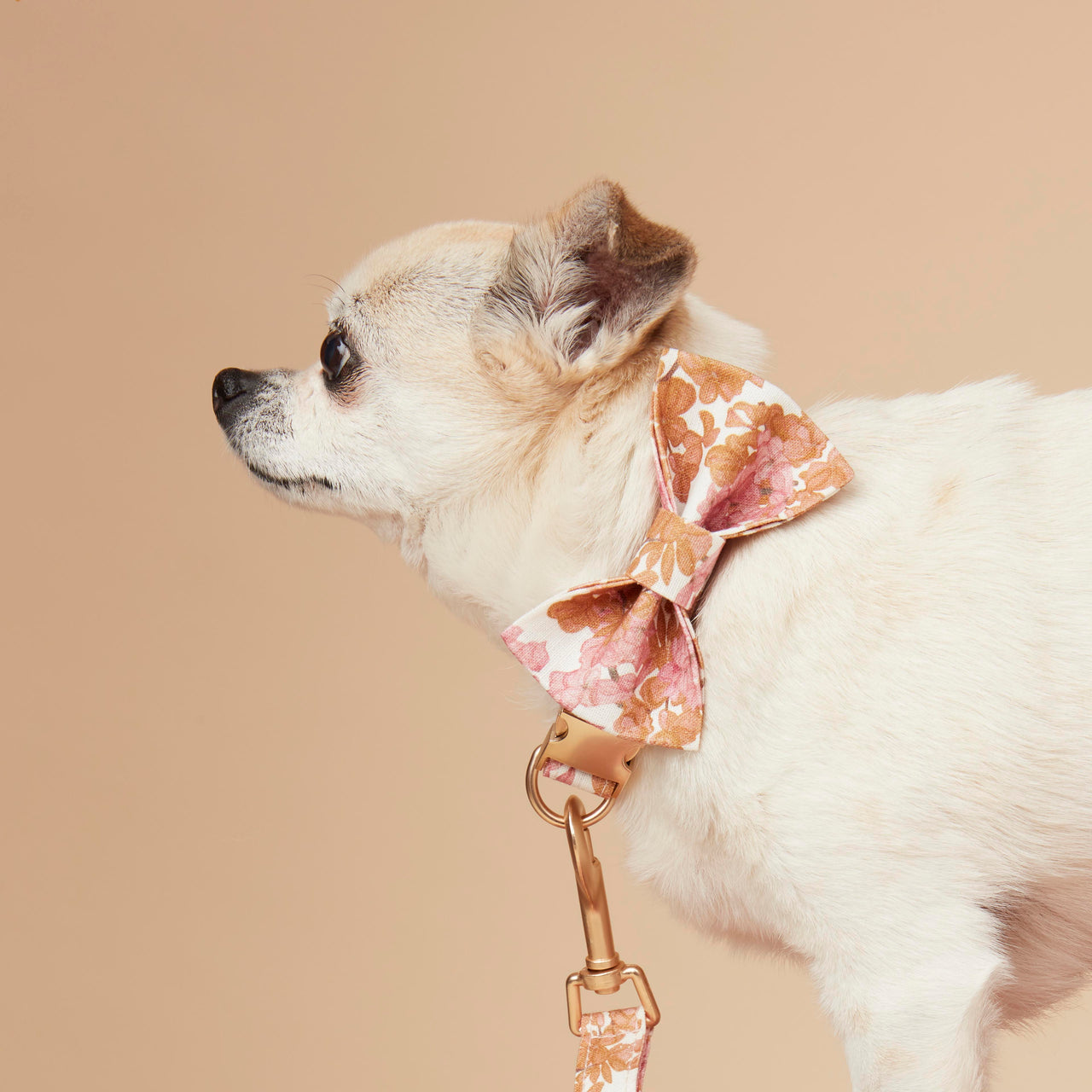 DOG LEASH - PINK FLORAL