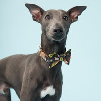 Thumbnail for DOG BOW TIE - FLORAL PRINT BLACK