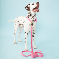 Thumbnail for DOG LEASH - AZALEA PINK