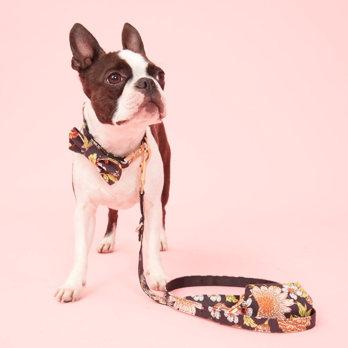 DOG LEASH - BLACK FLORAL