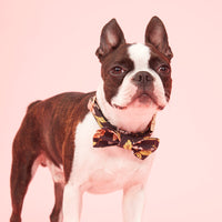 Thumbnail for DOG BOW TIE - FLORAL PRINT BLACK