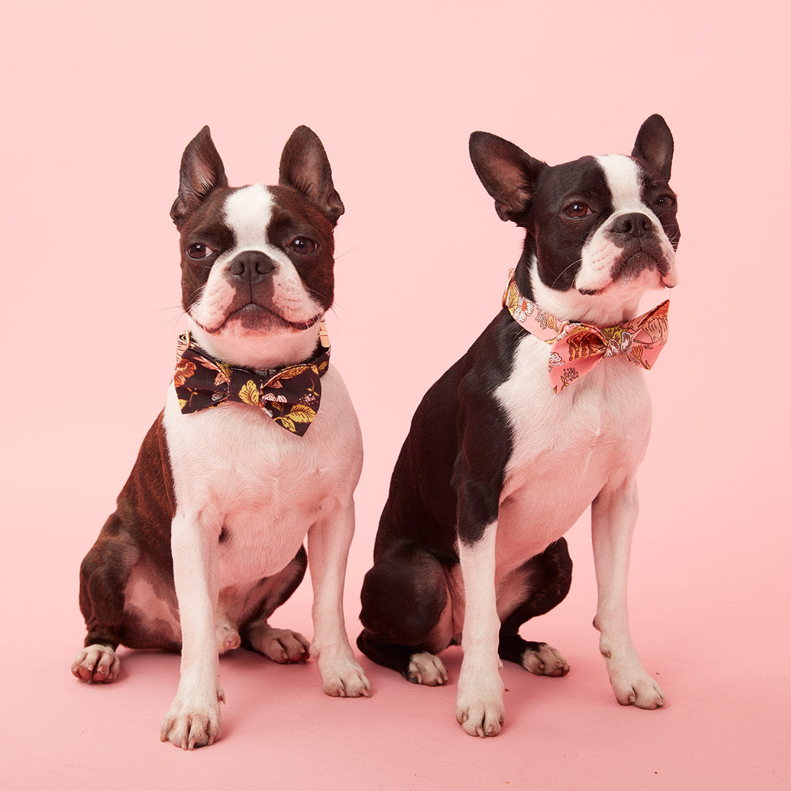 DOG BOW TIE - FLORAL PRINT BLACK